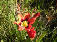 dscn0455_small.jpg