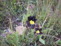 dscn0462_small.jpg