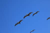 img_0545_small.jpg