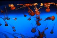 img_0641_small.jpg