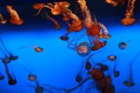 img_0642_small.jpg
