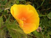 monterey2009004_small.jpg