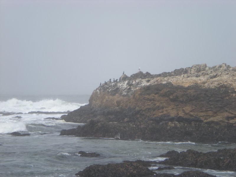 monterey2009007.jpg