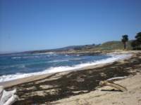 monterey2009017_small.jpg