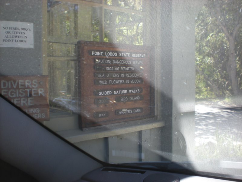 monterey2009023.jpg