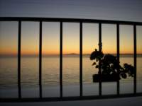 monterey2009033_small.jpg