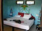 yucatan2009208_small.jpg