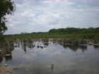 yucatan2009214_small.jpg