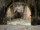 yucatan2009228_small.jpg