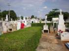 yucatan2009235_small.jpg