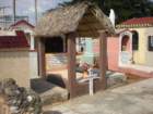 yucatan2009237_small.jpg