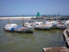 yucatan2009265_small.jpg