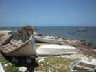 yucatan2009270_small.jpg