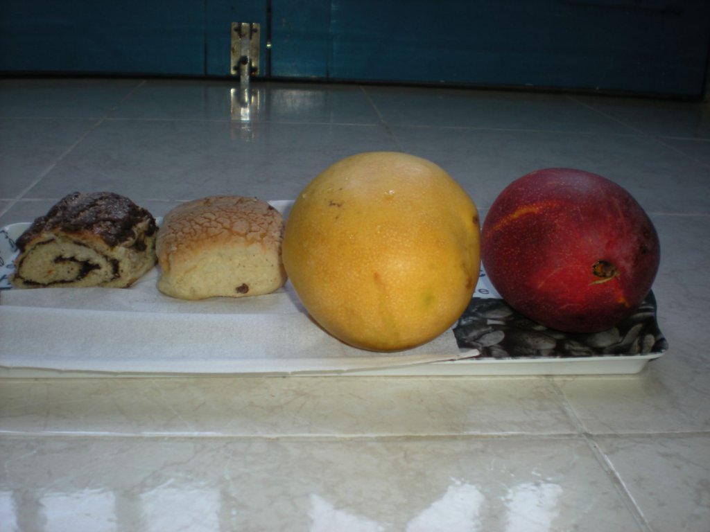 yucatan2009322.jpg