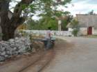 yucatan2009002_small.jpg
