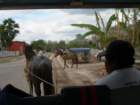 yucatan2009003_small.jpg