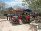 yucatan2009013_small.jpg