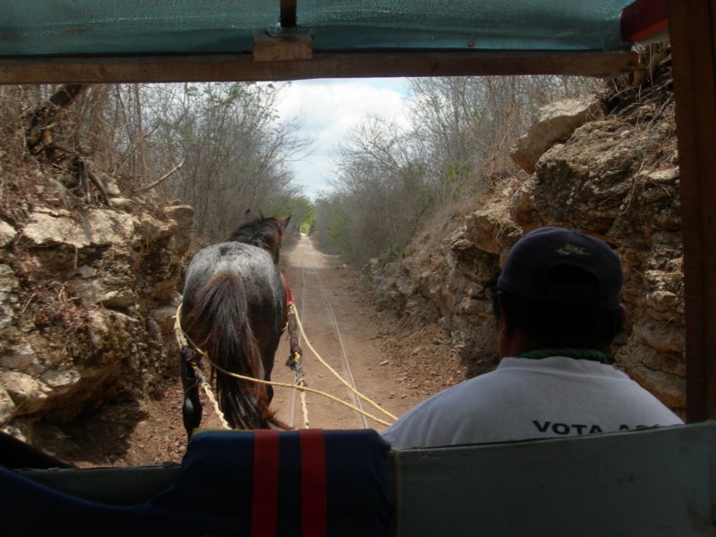 yucatan2009015.jpg
