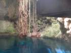 yucatan2009037_small.jpg