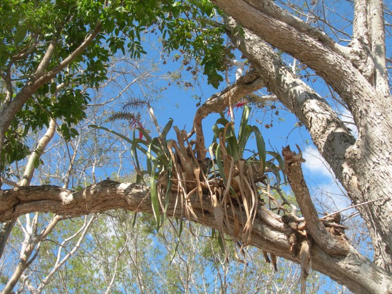 yucatan2009071.jpg