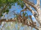 yucatan2009071_small.jpg