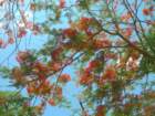 yucatan2009115_small.jpg