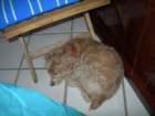 yucatan2009161_small.jpg