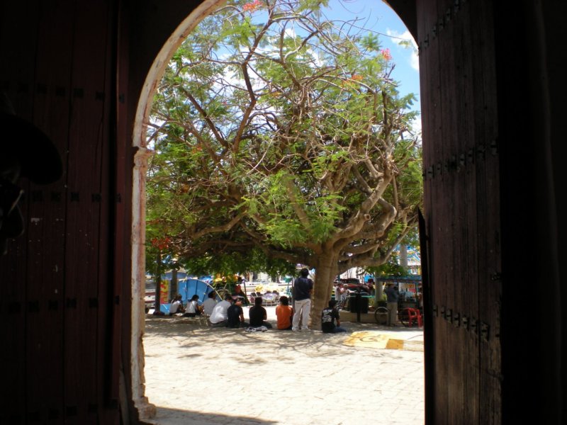 yucatan2009346.jpg