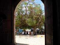 yucatan2009346_small.jpg