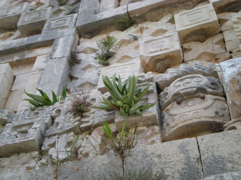 yucatan2009385.jpg