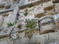 yucatan2009385_small.jpg