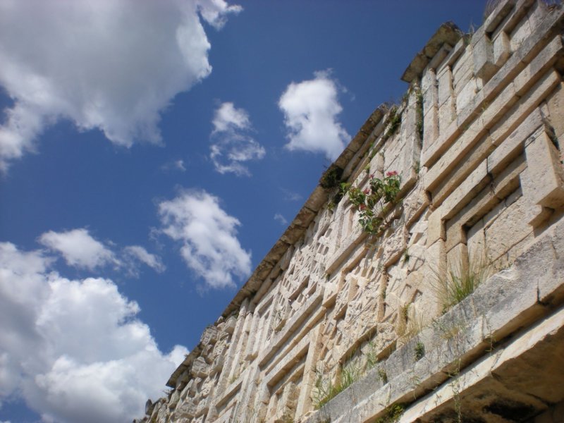 yucatan2009386.jpg