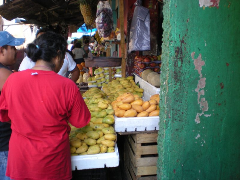 yucatan2009475.jpg
