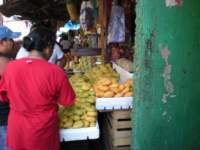 yucatan2009475_small.jpg