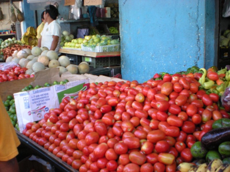 yucatan2009477.jpg