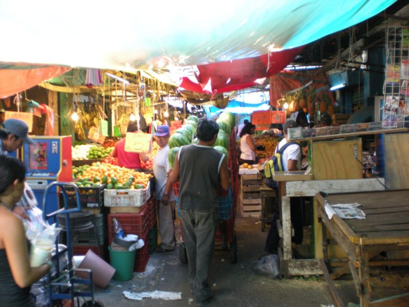 yucatan2009480.jpg