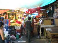 yucatan2009480_small.jpg