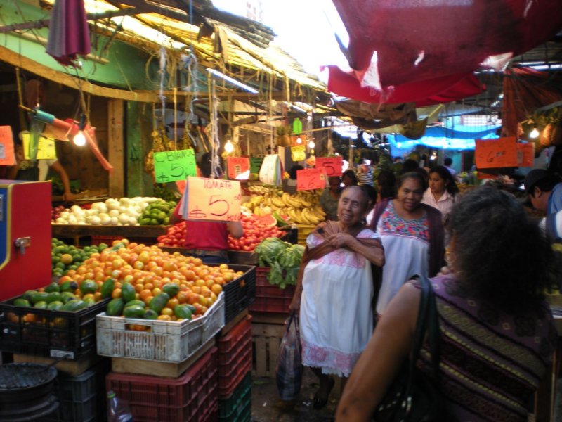 yucatan2009481.jpg