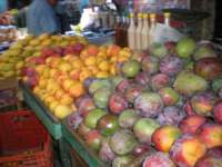 yucatan2009482_small.jpg