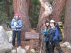 yosemitecreek_small.jpg
