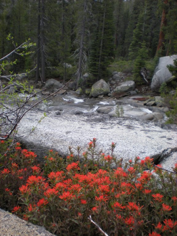 yosemitefalls004.jpg