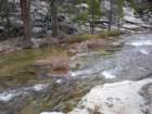yosemitefalls011_small.jpg