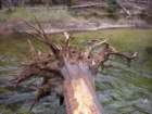 yosemitefalls016_small.jpg