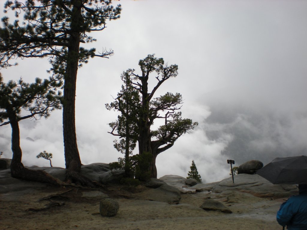 yosemitefalls017.jpg