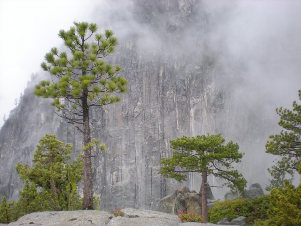 yosemitefalls019.jpg