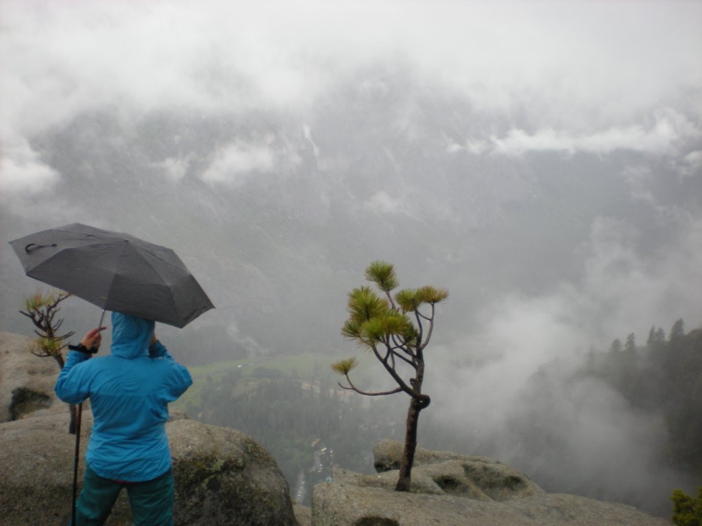 yosemitefalls021.jpg