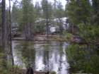 yosemitefalls034_small.jpg