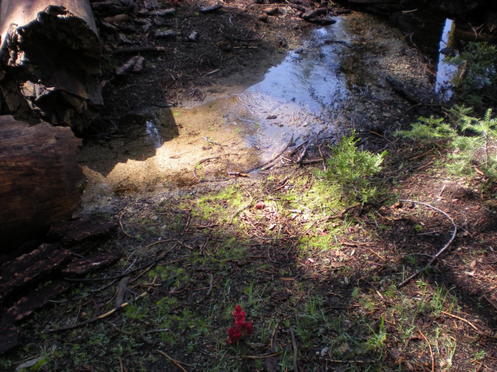 yosemitefalls050.jpg