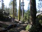 yosemitefalls051_small.jpg