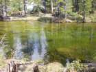 yosemitefalls083_small.jpg